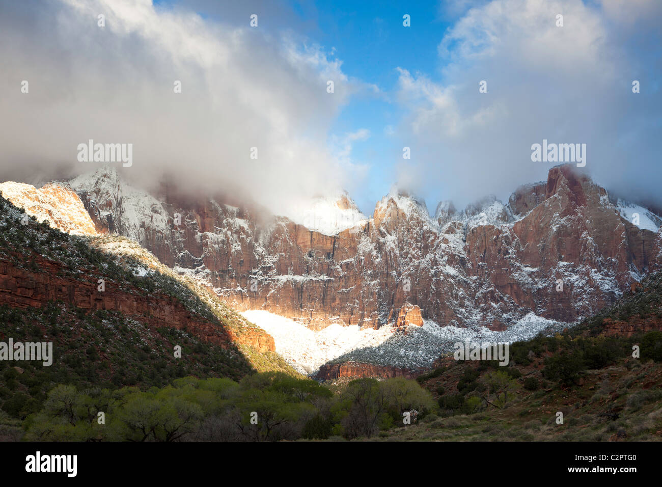 Lever de soleil sur les falaises de grès de Zion National Park Banque D'Images