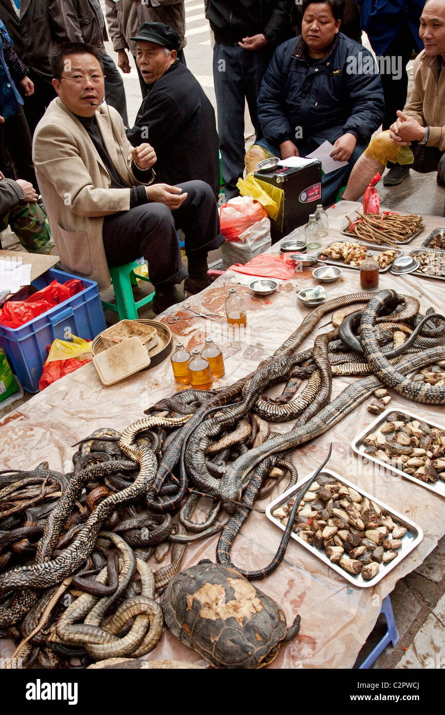 Un vendeur de rue, la vente de médicaments pour le serpent la population locale de Guilin Chine Banque D'Images