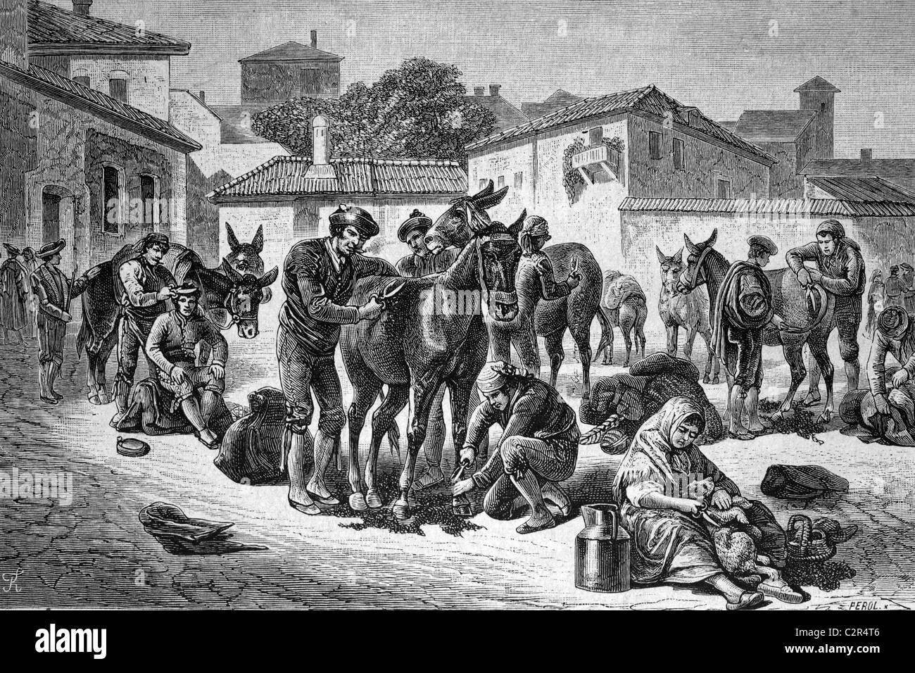 Cisaillement Mule à Grenade, Espagne, illustration historique, vers 1886 Banque D'Images
