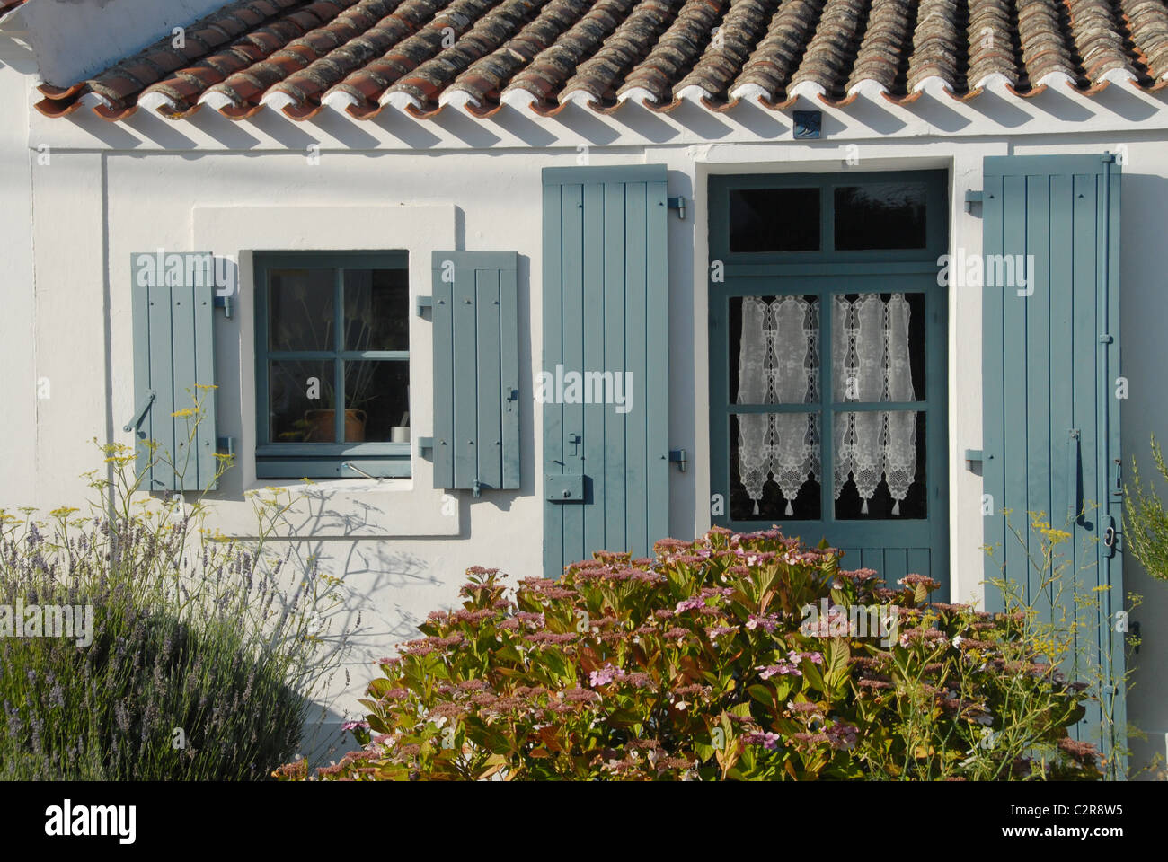 Maison typique de l'île de Ker Mercier sur l'île de l'Atlantique français de l'Île d'Yeu en Vendée Banque D'Images