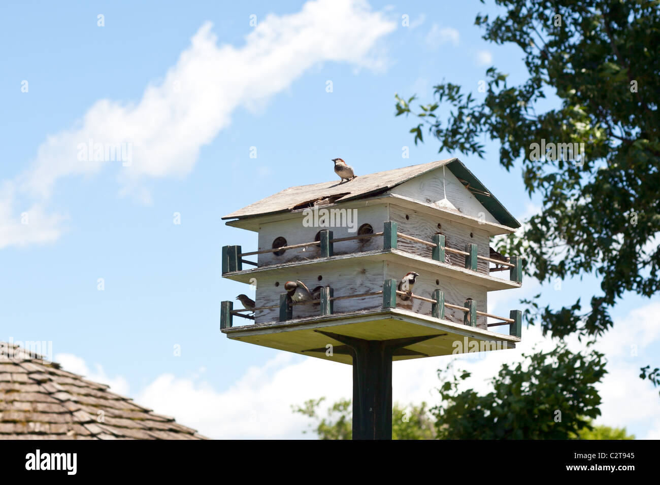 Sur une cabane d'oiseaux Banque D'Images