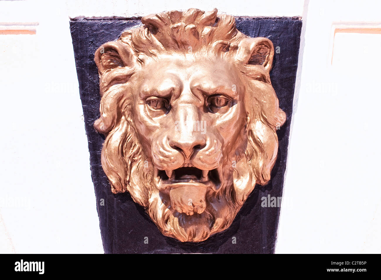 Tête de lion en bronze sur le mur de l'immeuble Banque D'Images