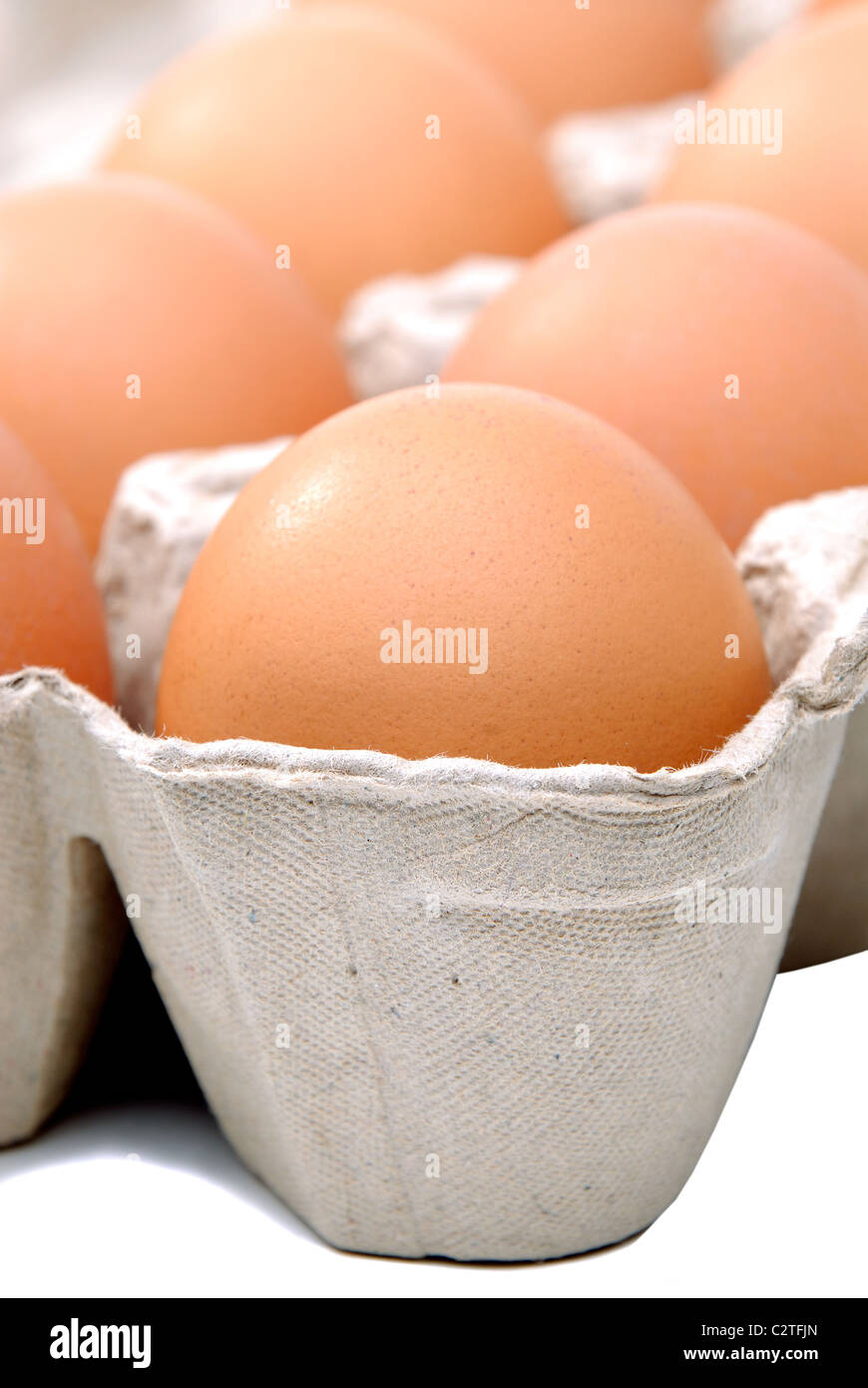 D'UN PLAN Macro Brown d'oeufs frais de la ferme dans une boîte en carton Banque D'Images