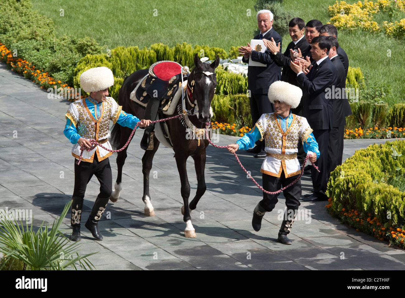 Akhal Téké Garahan, un cheval, être exhibés à l'Hippodrome de l'État à Ashgabat Turkménistan Banque D'Images