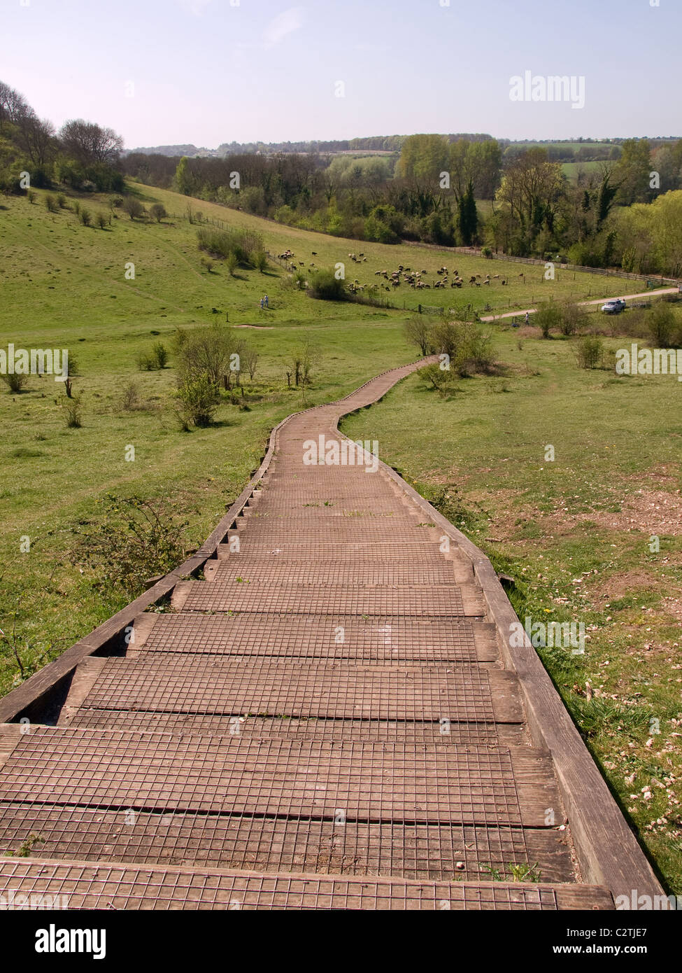 Étapes menant de St Catherine Hill Winchester Hampshire England UK Banque D'Images