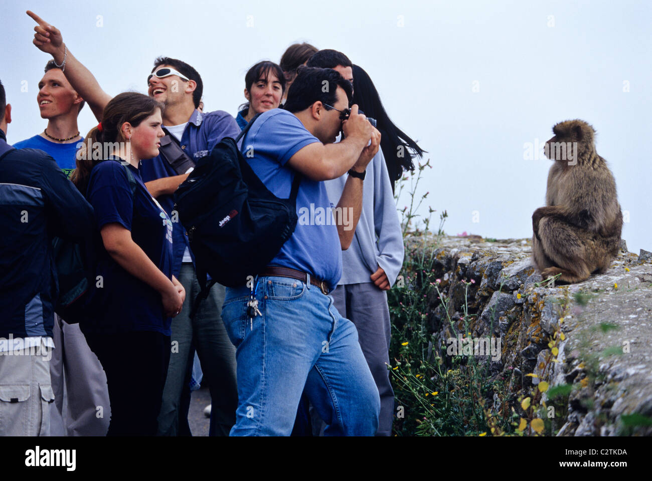 Les jeunes touristes et les taquineries d'alimentation les singes de Barbarie sur le sommet du rocher de Gibraltar Banque D'Images