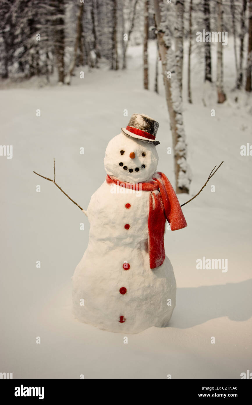 Le Snowman avec écharpe rouge et noir top hat standing in front of forêt de bouleaux, d'hiver Banque D'Images Le Snowman avec écharpe rouge et noir top hat standing in front of forêt de bouleaux, d'hiver Banque D'Images