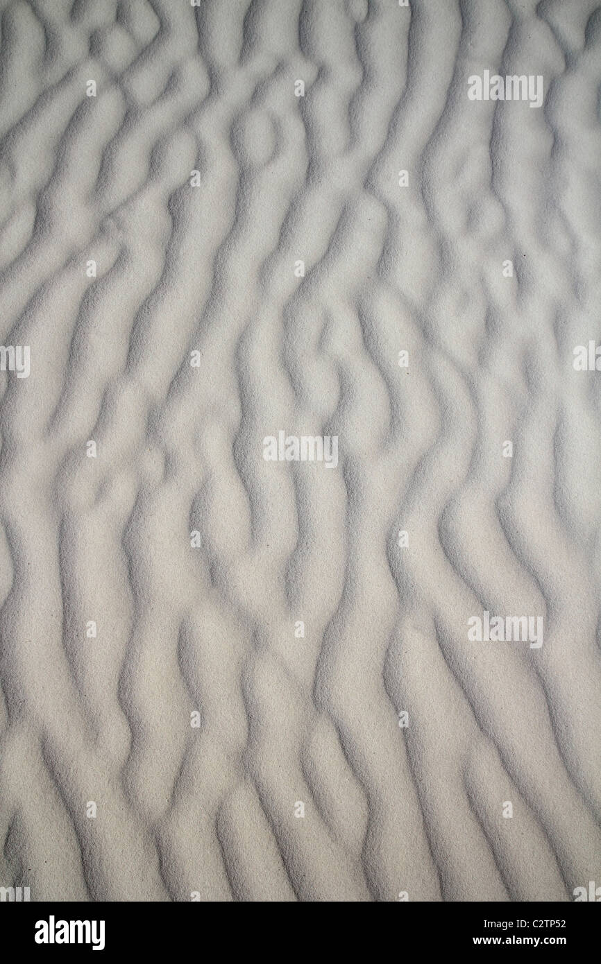 Vagues de sable des Caraïbes beige motif de fond du désert Banque D'Images
