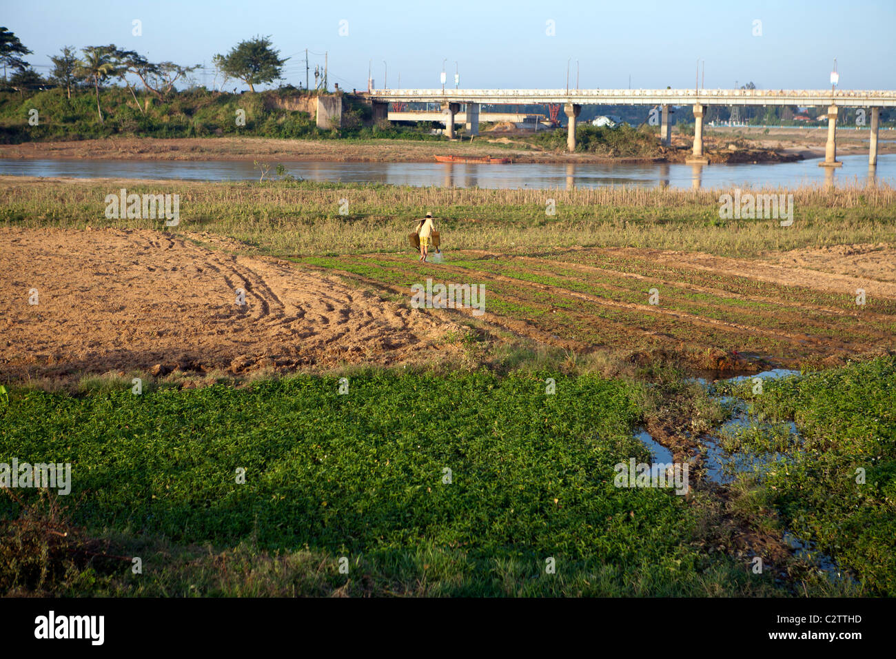 L'arrosage des champs sur les rives de la rivière Dakbla à Kon Tum Banque D'Images