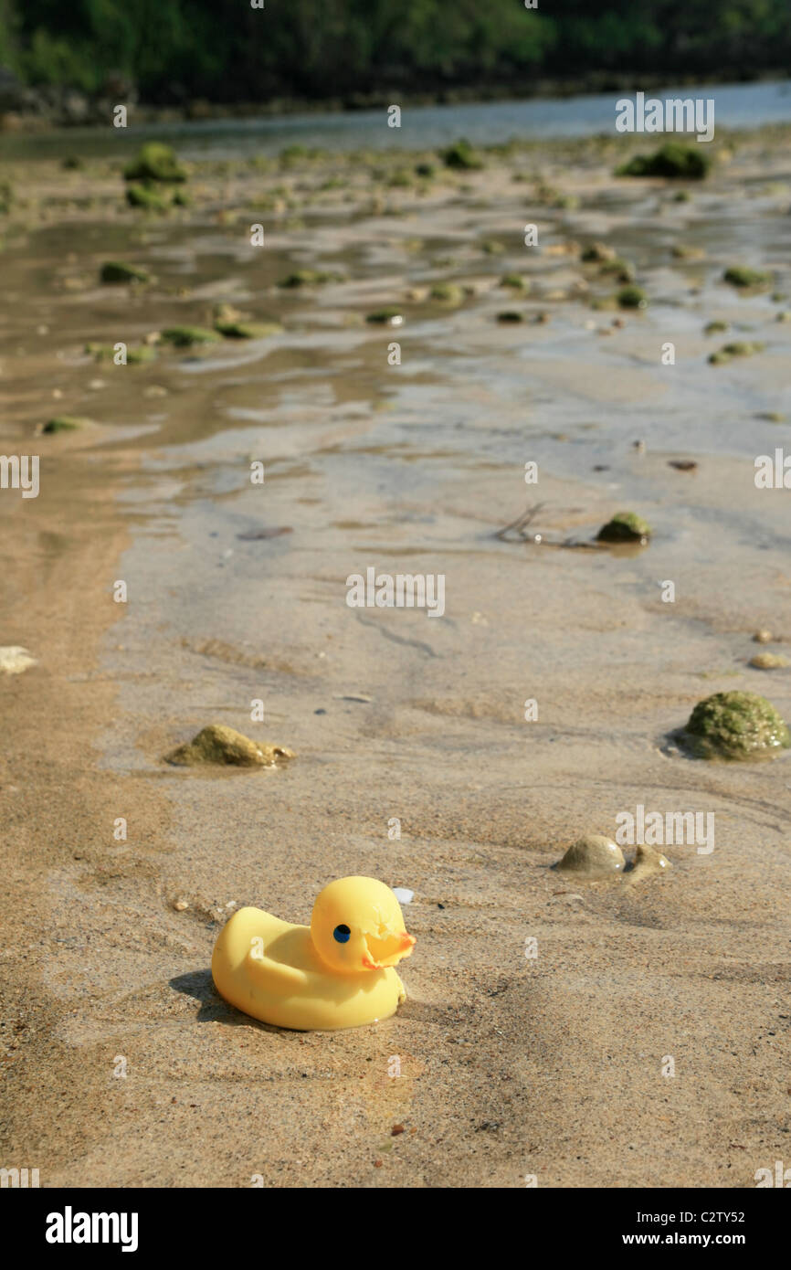 Canard en caoutchouc naufragé perdu en mer échouée sur la rive de l'océan Banque D'Images
