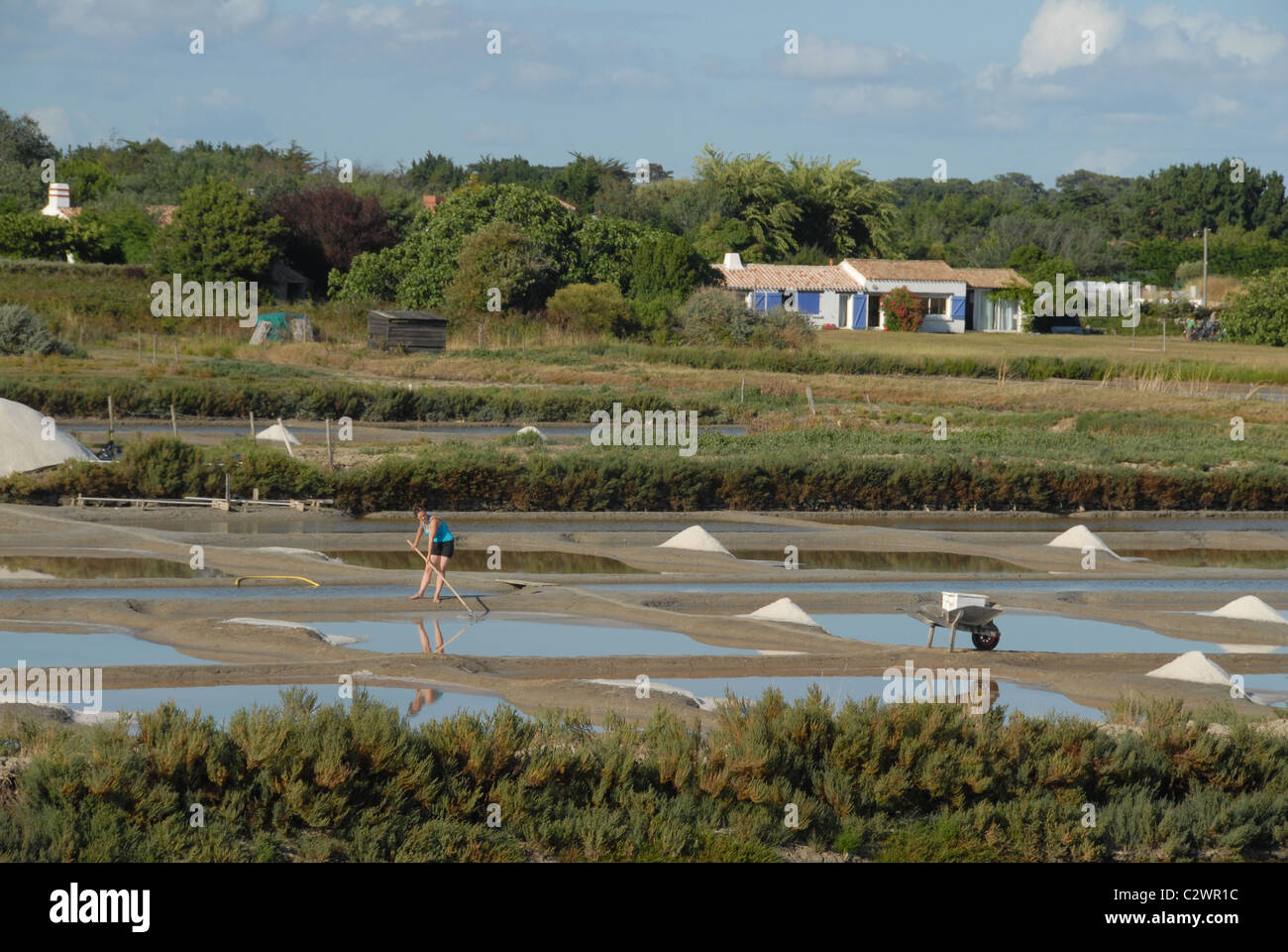 Les étangs de sel sel de mer de Noirmoutier-en-île sur l'Atlantique Français île de Noirmoutier en Vendée, Pays de la Loire Banque D'Images