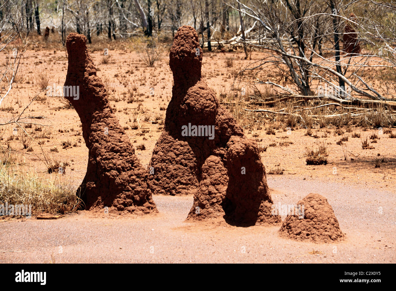 Termitières rouge dans l'outback, Pilbara, Australie du nord-ouest Banque D'Images