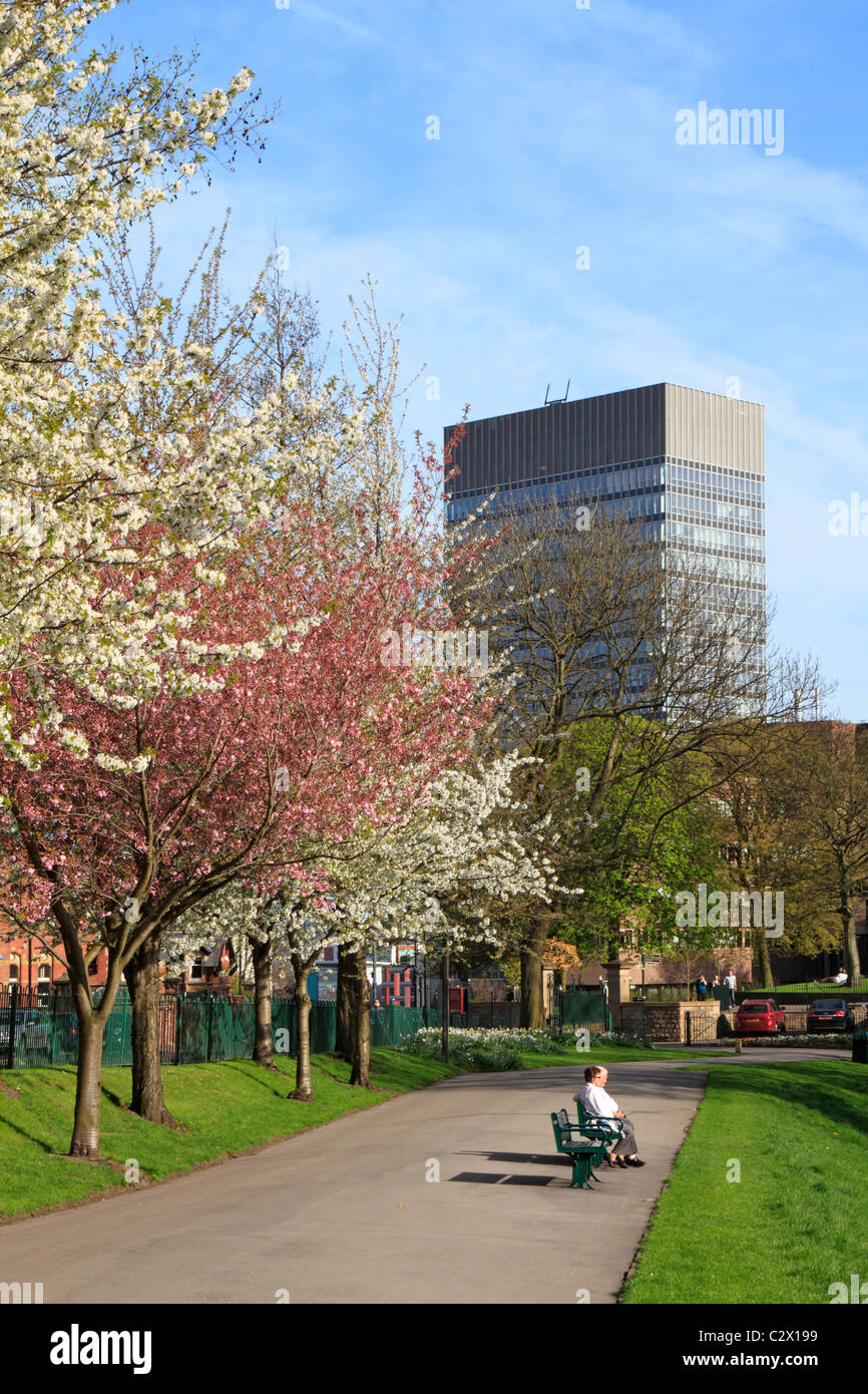 Le tour des arts, Université de Sheffield et arbres fleuris dans Crookes Valley Park, Sheffield, South Yorkshire, Angleterre, Royaume-Uni. Banque D'Images