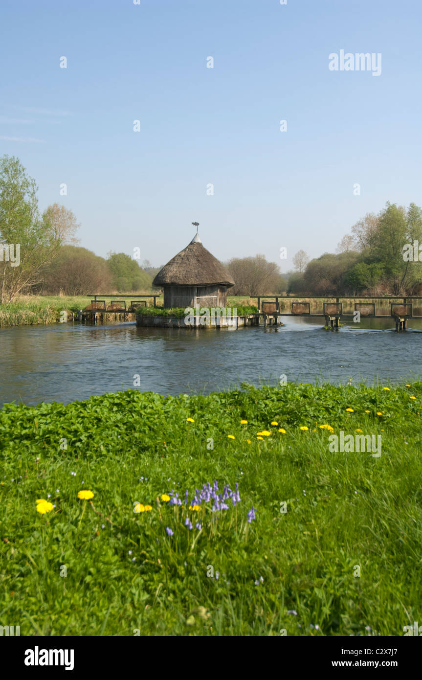 Les pièges de l'anguille d'une cabane de pêcheur à Longstock, rivière Test, Hampshire, Royaume-Uni Banque D'Images