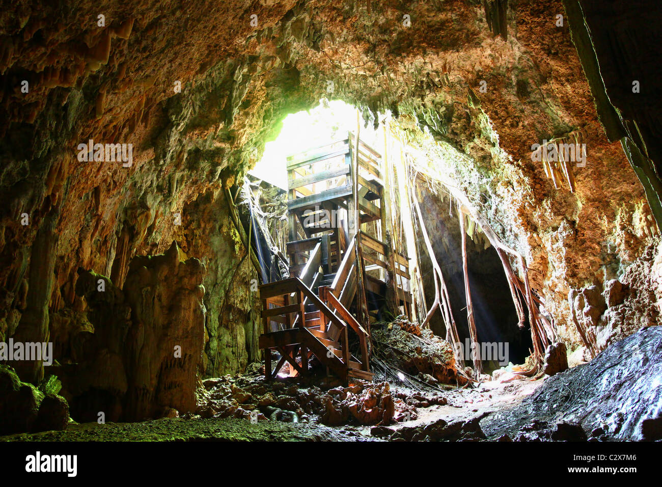 Cueva del Viento - Puerto Rico Banque D'Images