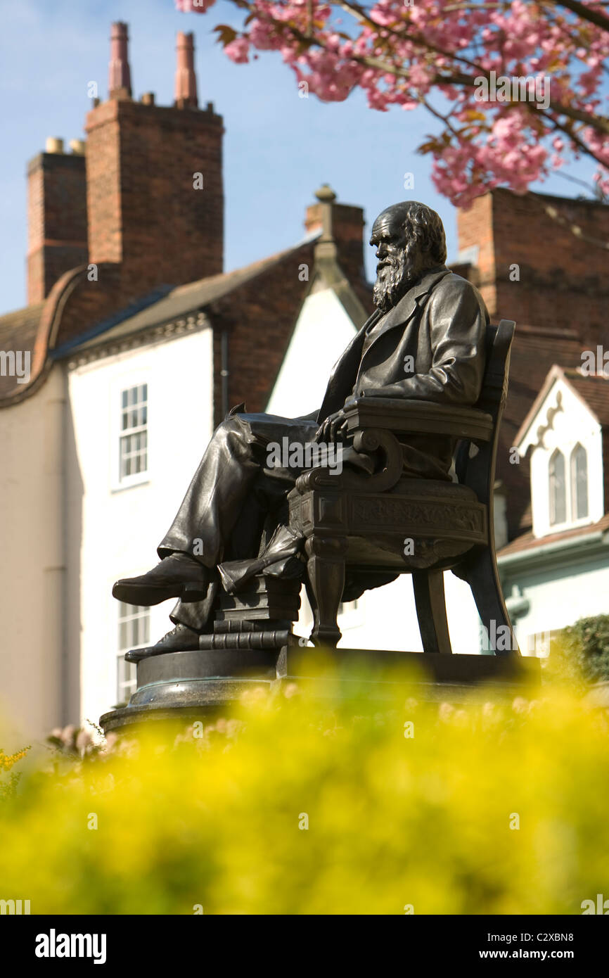 Statue de Charles Darwin en face de la bibliothèque à Shrewsbury, Shropshire. Banque D'Images