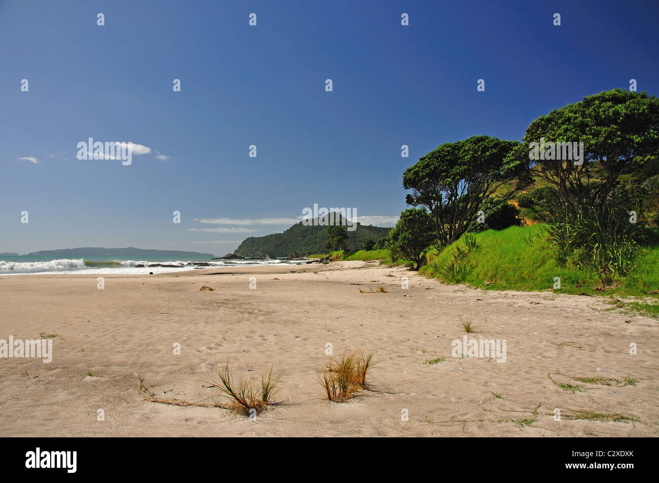 Kuaotuna Kuaotuna, Plage, péninsule de Coromandel, de la région de Waikato, Nouvelle-Zélande, île du Nord Banque D'Images