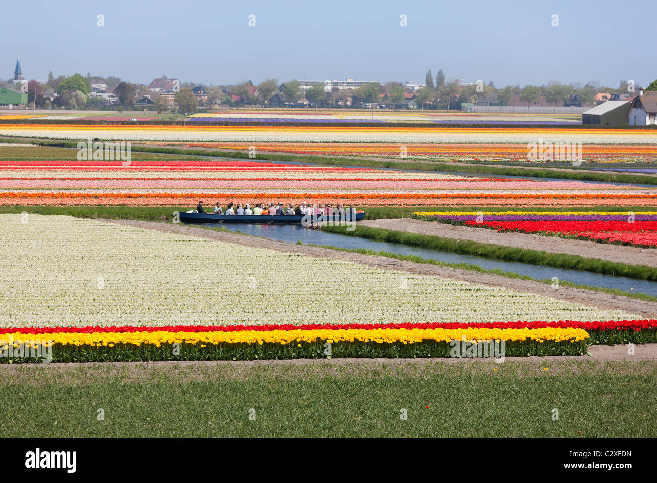Les visiteurs prendre un voyage à travers les champs de tulipes en fleurs par bateau électrique au jardin de fleurs Keukenhof à Lisse, aux Pays-Bas. Banque D'Images
