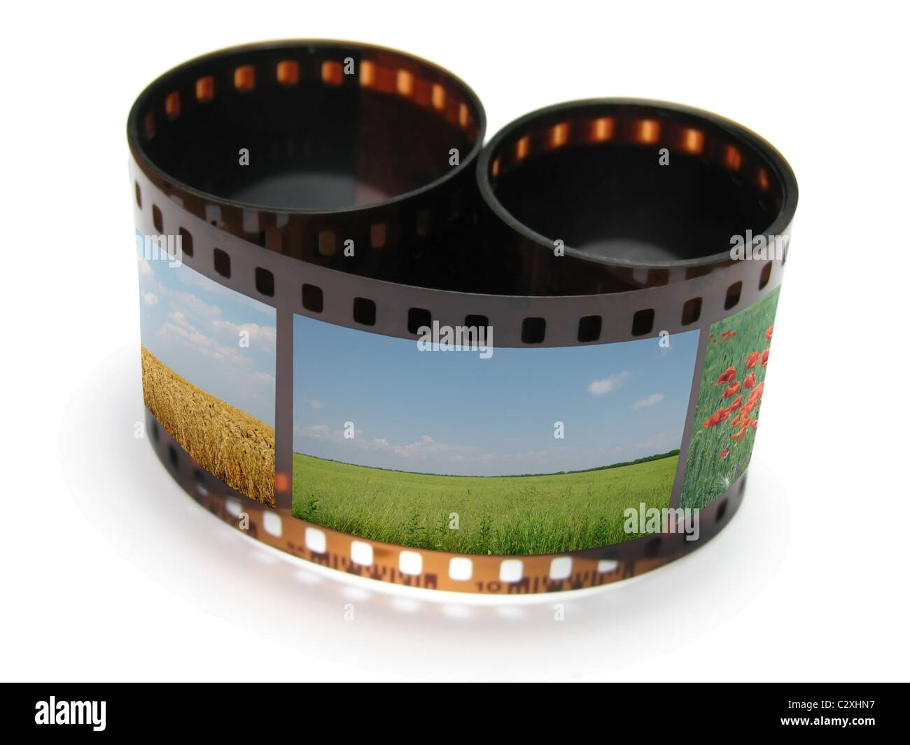 Bobine de film photographique avec des images de la nature Banque D'Images