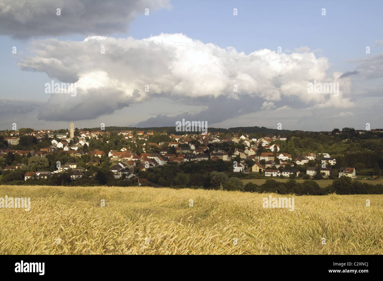 Champ de blé, Merchweiler, Allemagne Banque D'Images