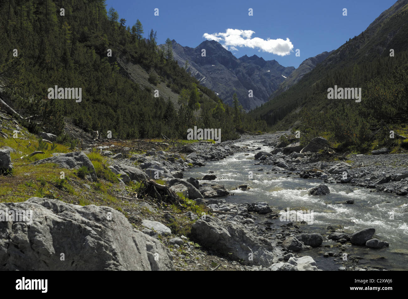 Ova da Cluoxxa river, Parc National Suisse Banque D'Images