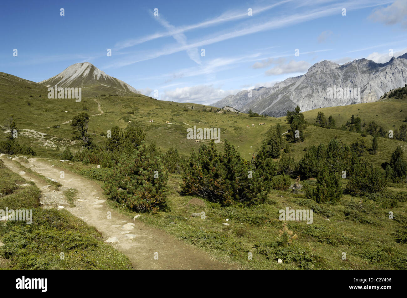 Vue sur Buffalora, Parc National Suisse Banque D'Images