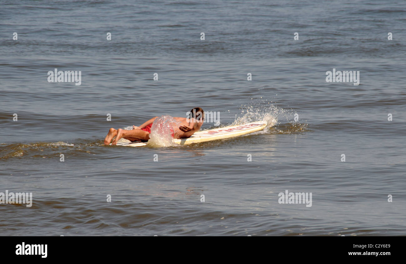 Lifeguard sur une planche de surf Banque D'Images
