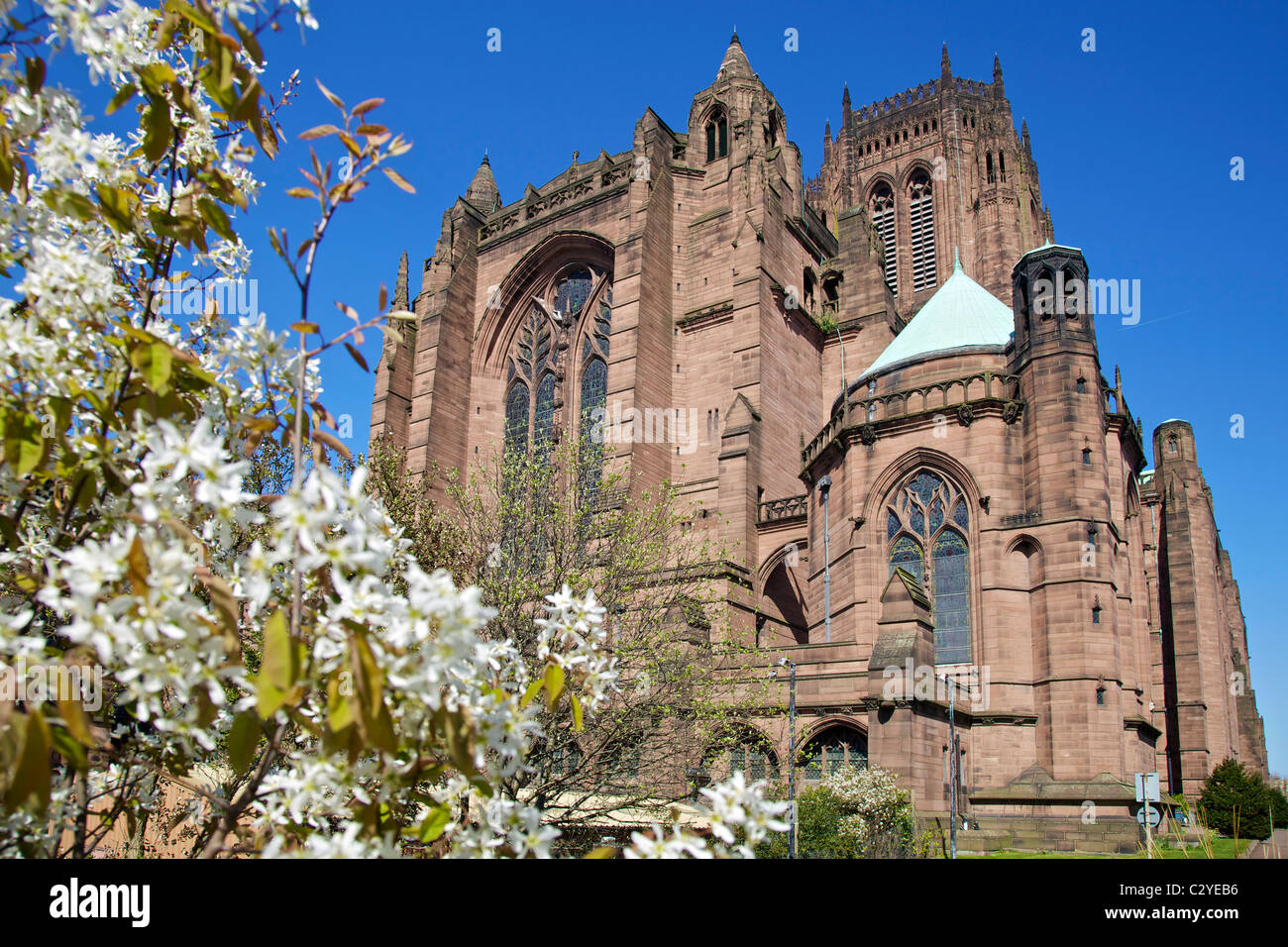 La cathédrale anglicane de Liverpool. Banque D'Images