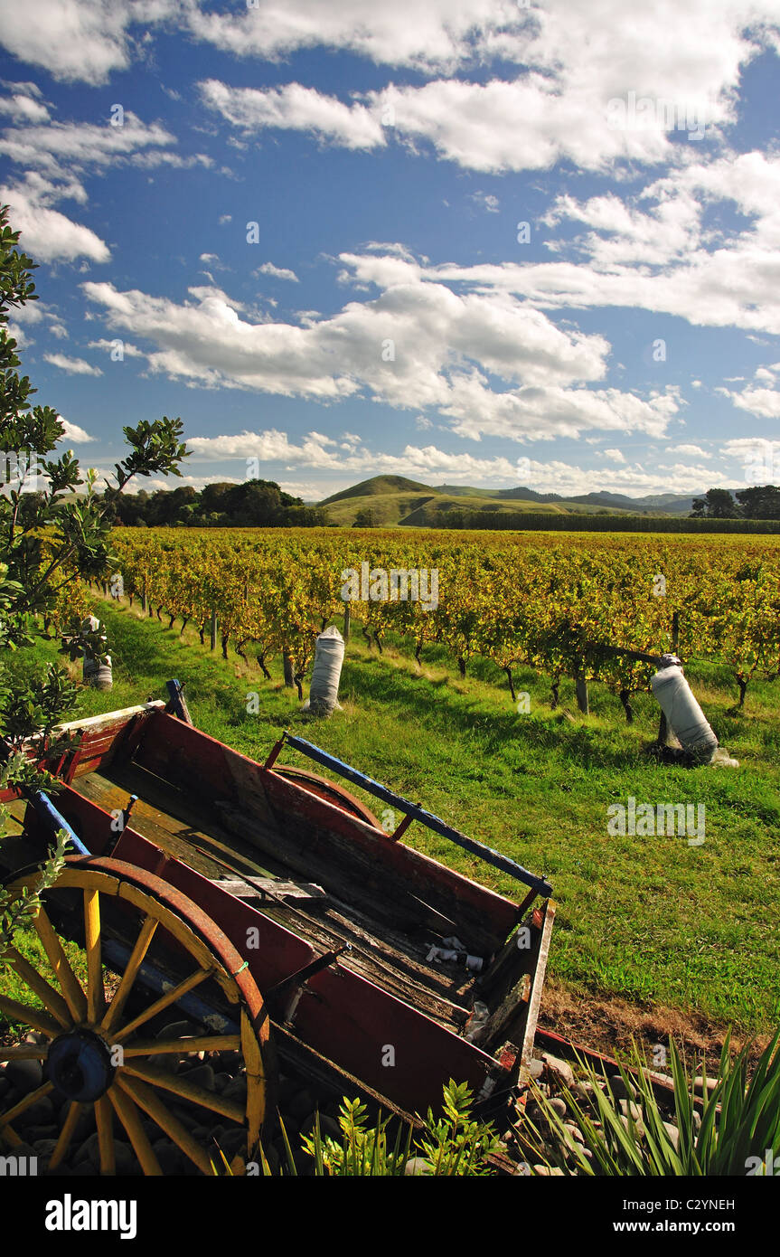 Baie de crabe Winery, le Bay View, près de Napier, Hawke's Bay, île du Nord, Nouvelle-Zélande Banque D'Images