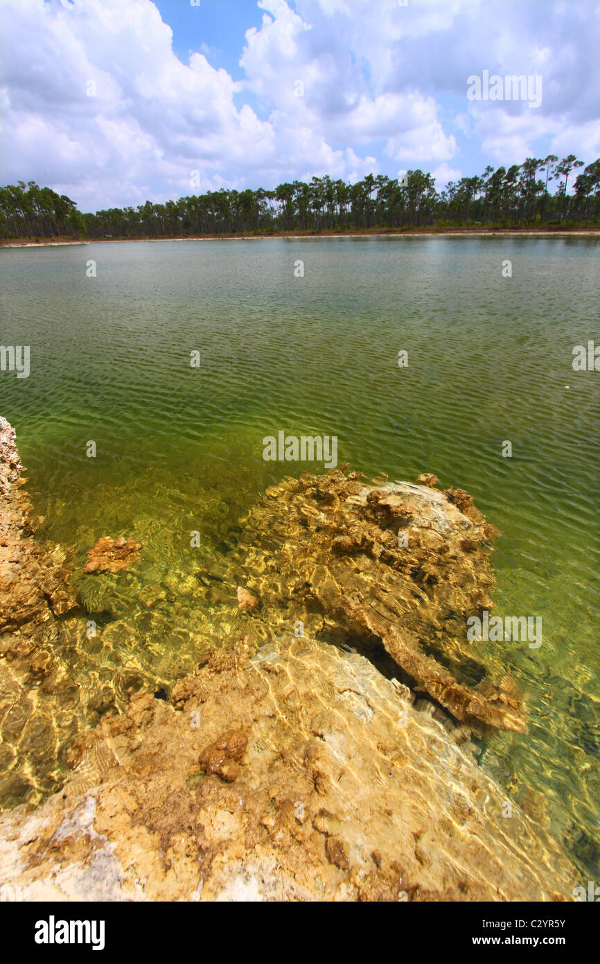 Le Parc National des Everglades - USA Banque D'Images