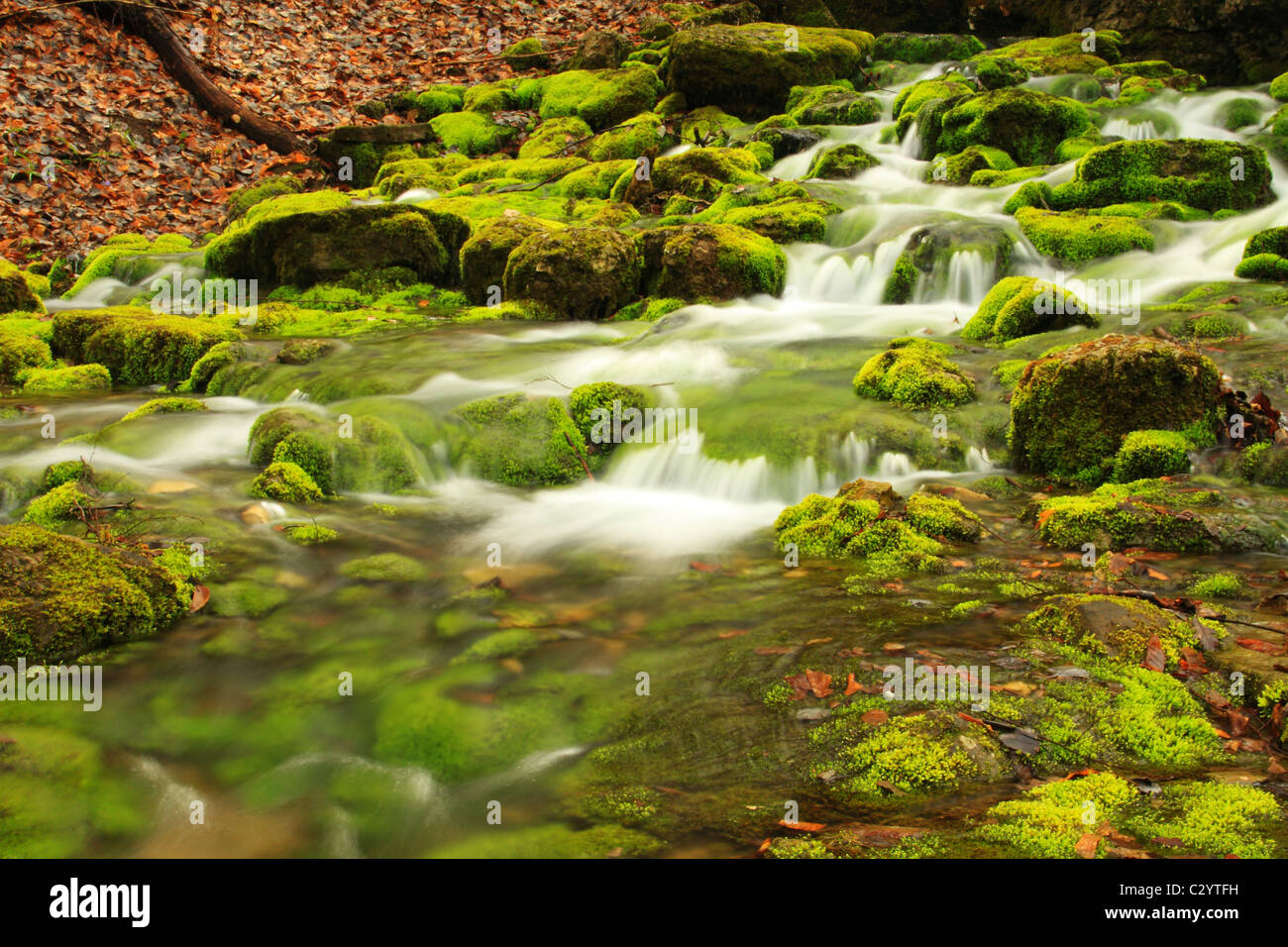 Cascade de la rivière de montagne Banque D'Images