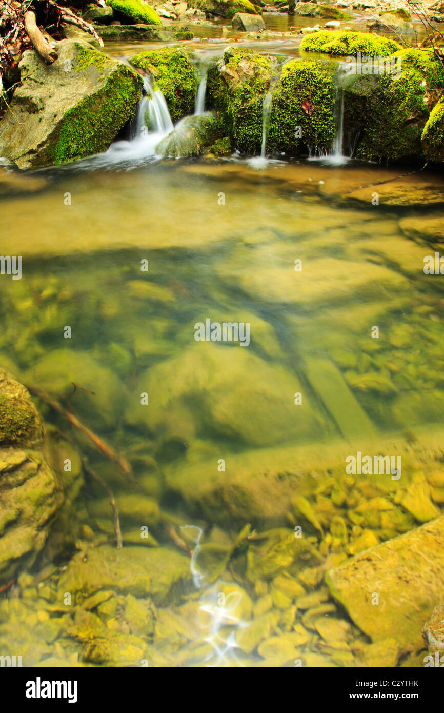 Ruisseau de montagne s'écoule dans le lac Banque D'Images