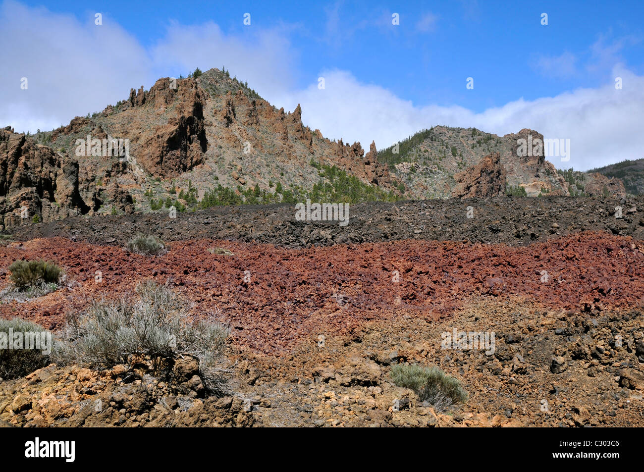 Montagnes volcaniques à l'espagnol Tenerife, dans les îles Canaries avec coulées en premier plan Banque D'Images