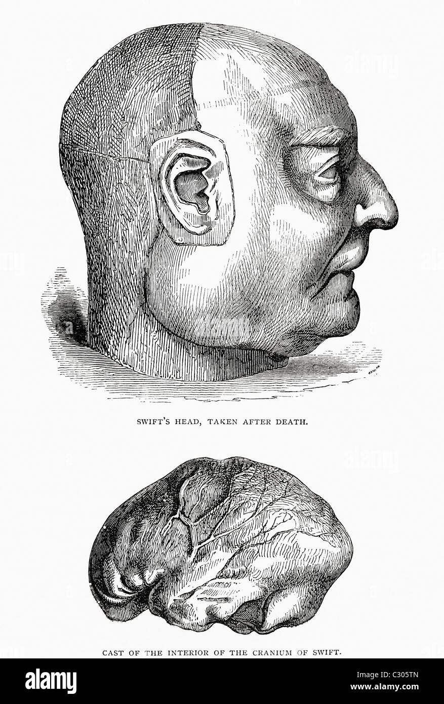Swift's Head, prises après la mort, et de l'intérieur du crâne de Swift. De Voyages de Gulliver publié c.1875 Banque D'Images