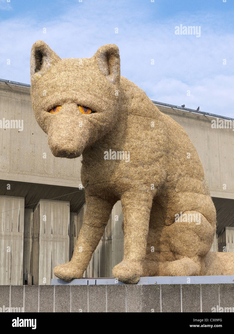 Une vue d'une sculpture géante d'un Renard urbain assis dehors la Hayward Gallery London UK Banque D'Images