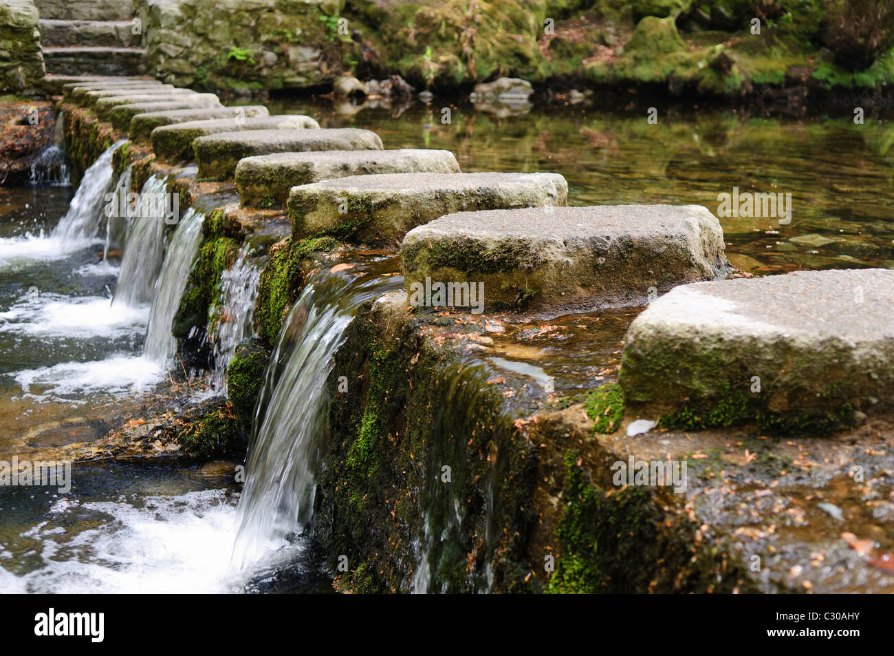 Stepping Stones sur la rivière Shimna, Tollymore Forest Park, Newcastle, Irlande du Nord, en vedette dans le jeu des trônes Banque D'Images