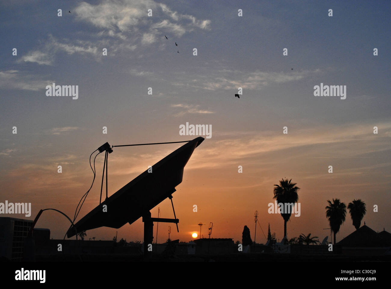 Antenne Satellite et de palmiers au coucher du soleil, le Maroc Banque D'Images