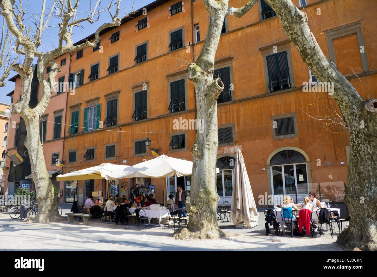 Restaurant à Piazza Napoleone Lucca Toscane Italie Banque D'Images