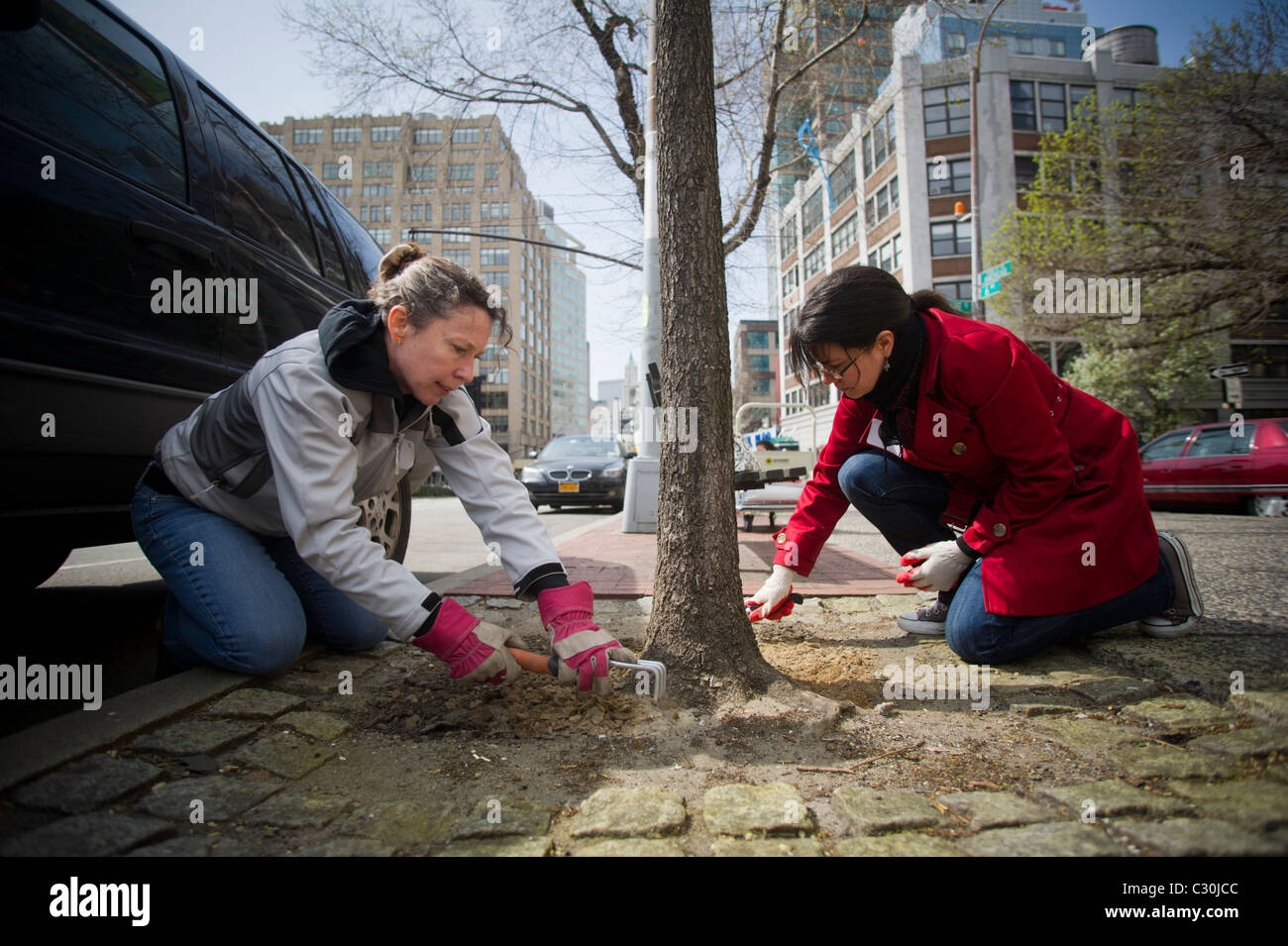 Des bénévoles d'entreprises de la région de Hudson Square participer à un nettoyage de la Journée de la Terre Banque D'Images
