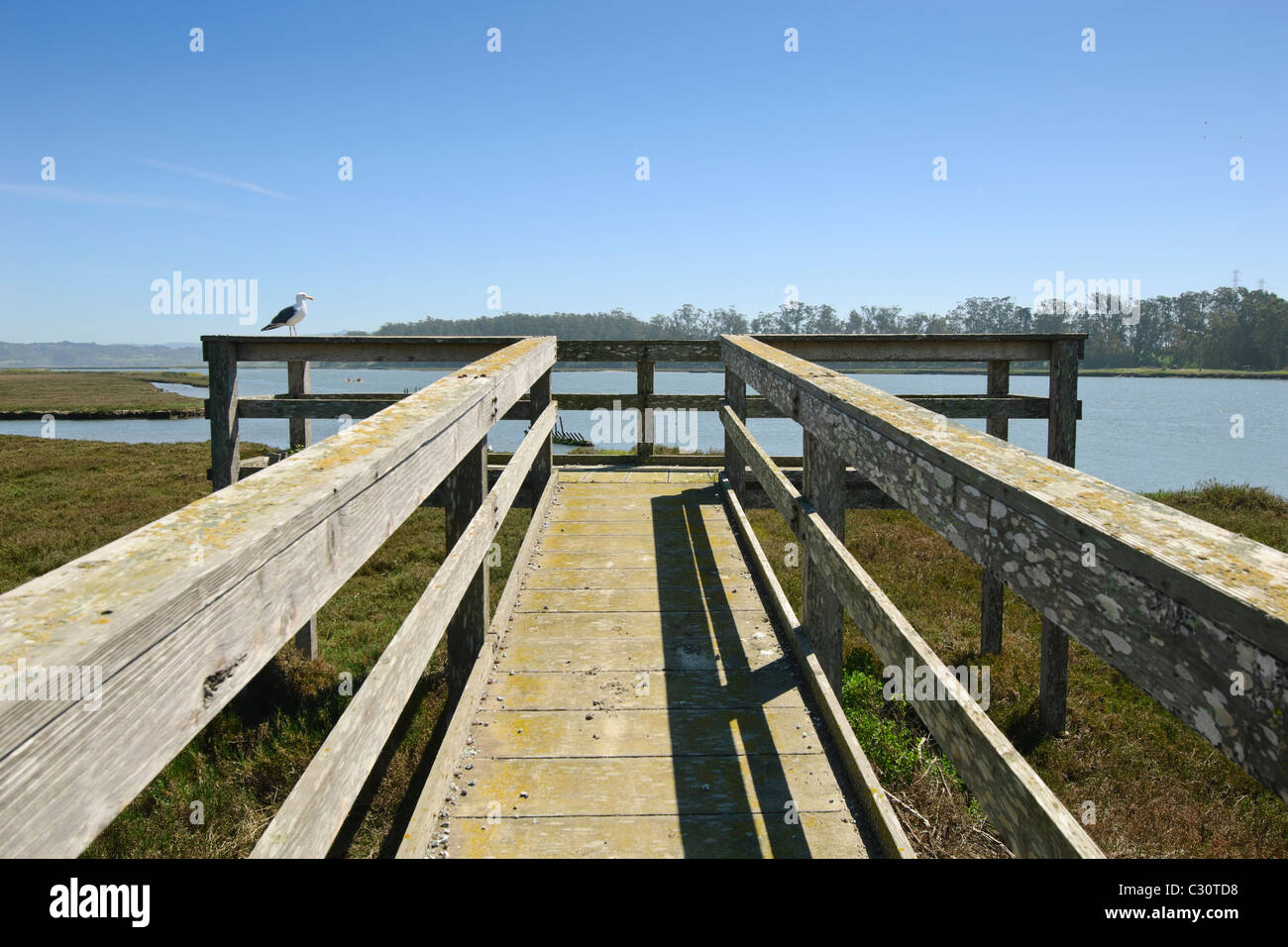 Vue de l'Elkhorn Slough à partir d'une plate-forme. Banque D'Images