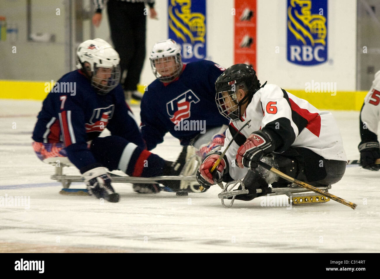 Photos de la médaille de bronze à l'International 2011 Jeu de hockey sur luge. Banque D'Images