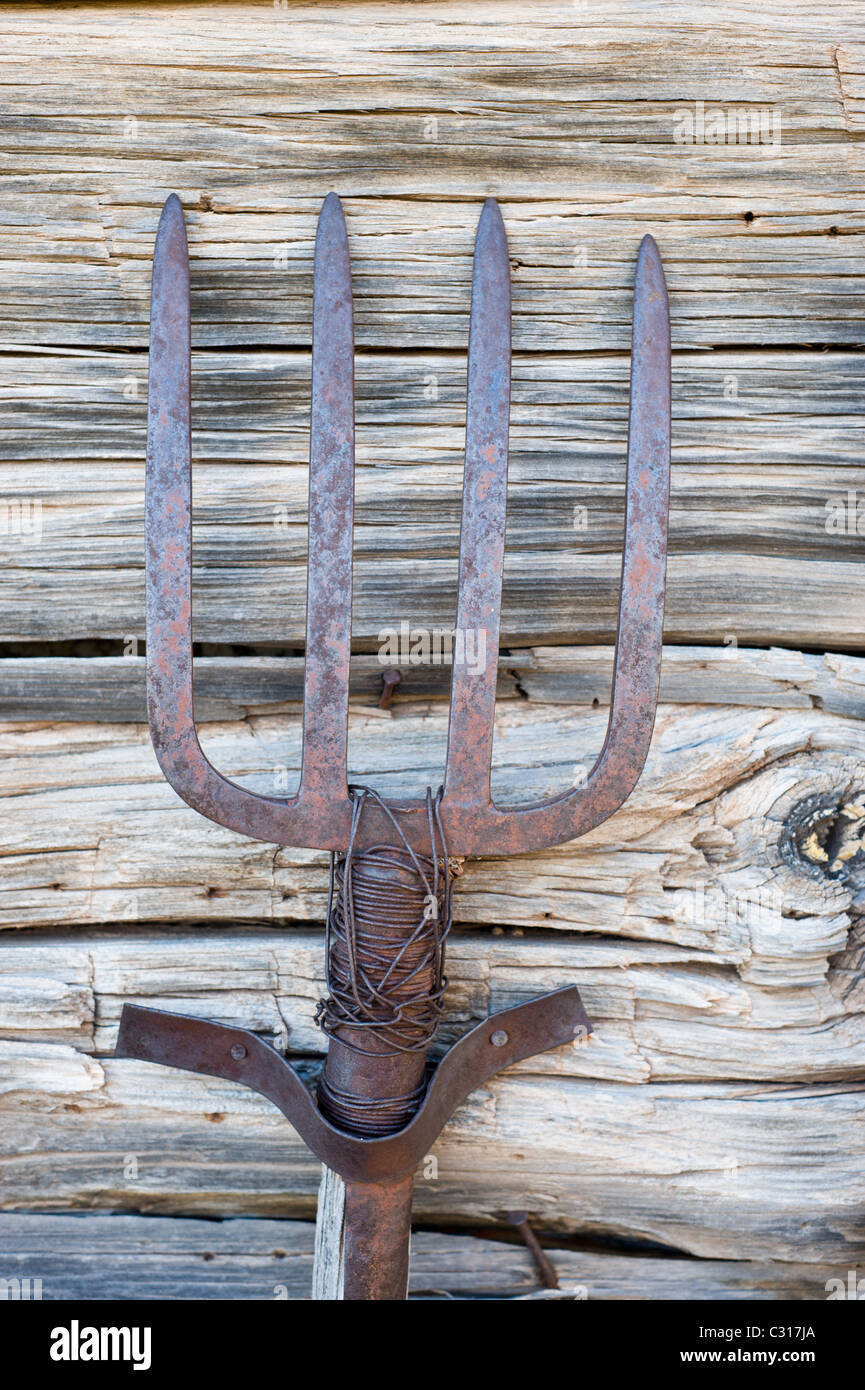 Le symbole de l'agriculture, de la fourche, repose contre un vieux mur en bois patiné Ancho, Nouveau Mexique. Banque D'Images