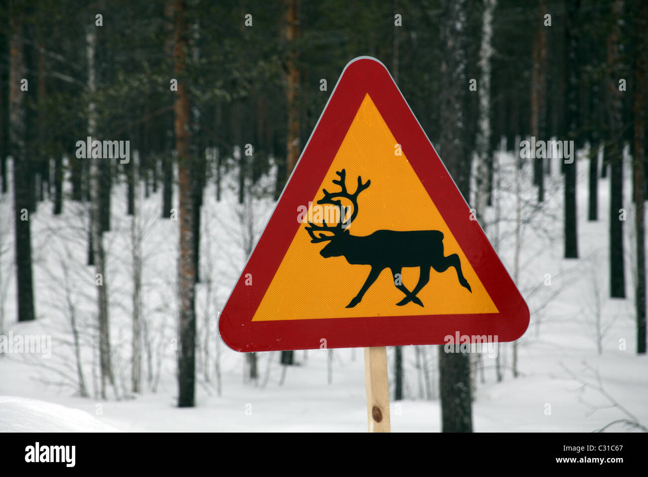 Méfiez-vous d'Elk signe sur Swedish Road près de Arvidsjaur, le nord de la Suède Banque D'Images