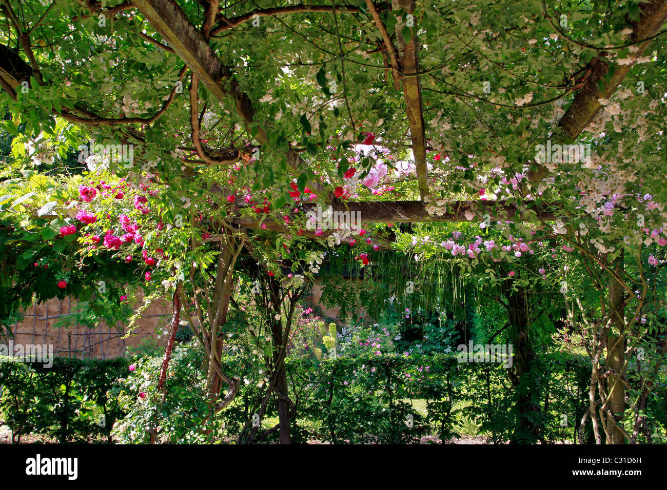 La roseraie, PARC ET JARDINS DU CHÂTEAU DE VANDRIMARE, EURE (27), FRANCE Banque D'Images