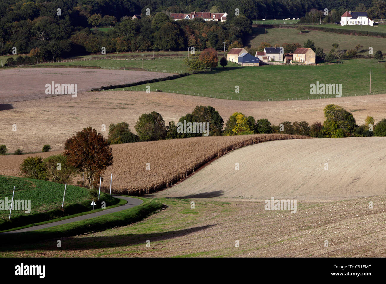 PERCHERON campagne autour de Nogent-le-Rotrou, perche, Eure-et-Loir (28), FRANCE Banque D'Images