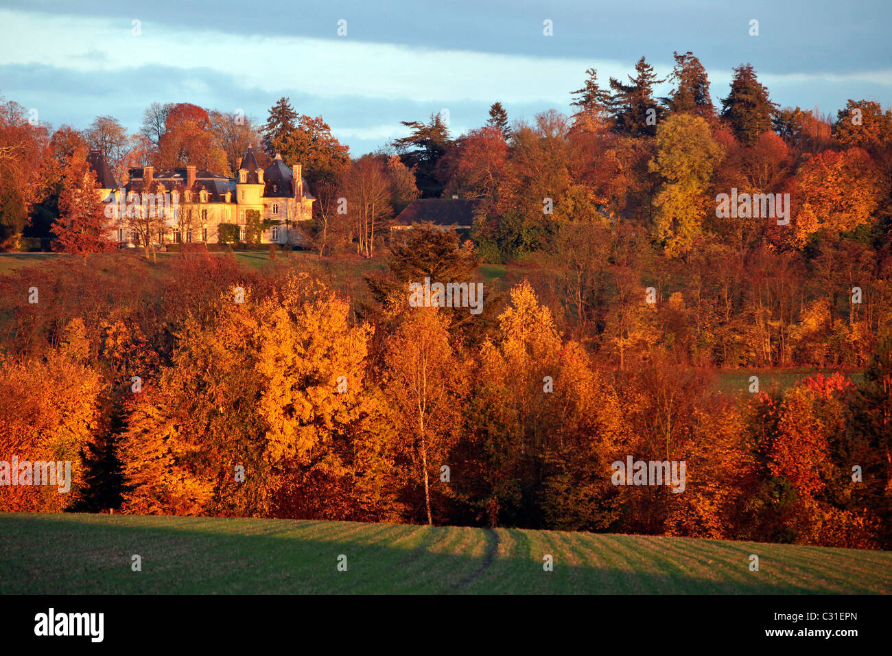 Campagne PERCHERONNE DE L'ORNE À l'automne, CHATEAU DE LA BEUVRIERE, danse, ORNE (61), FRANCE Banque D'Images