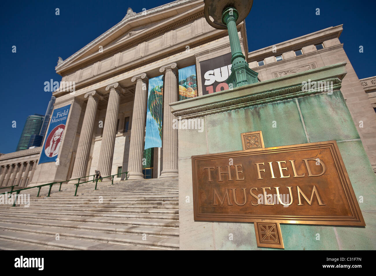 Field Museum of Natural History de Chicago, Illinois, USA. Banque D'Images