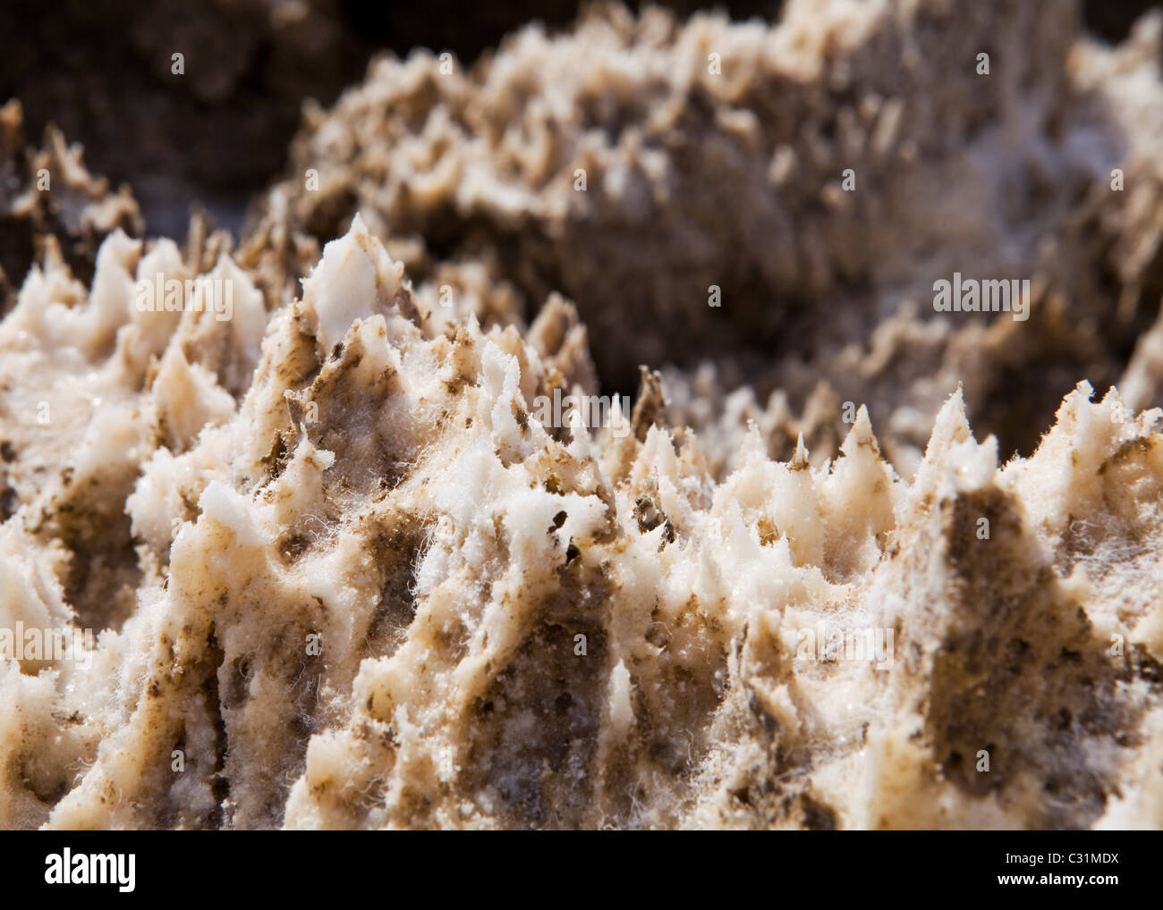 Gros sel de l'halite naturelles formation - California USA Banque D'Images