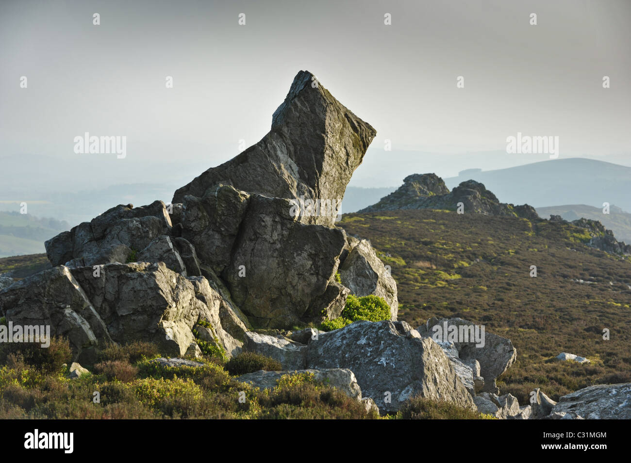 Stiperstones rocher naturel formé avec le Shropshire landes et collines au loin dans la lumière du soleil en début de soirée Banque D'Images