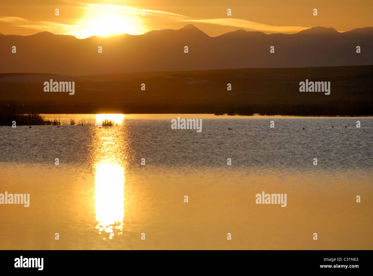 Coucher de soleil sur la plage de Lemhi vu depuis l'étang central, ID Banque D'Images